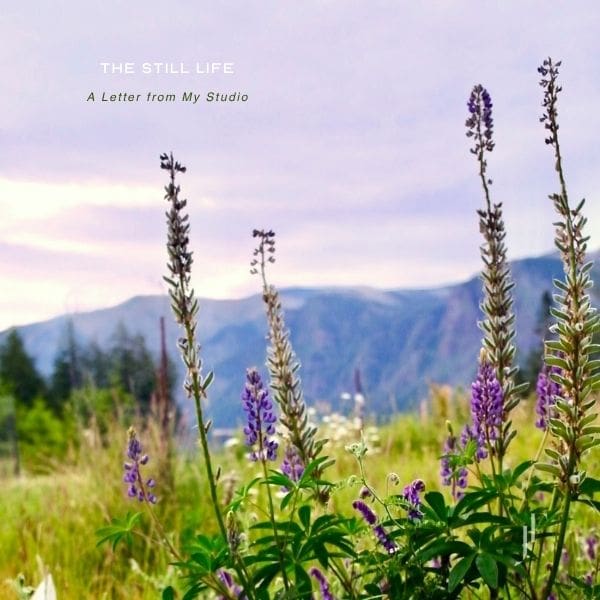 purple wildflowers in a green field in front of mountains