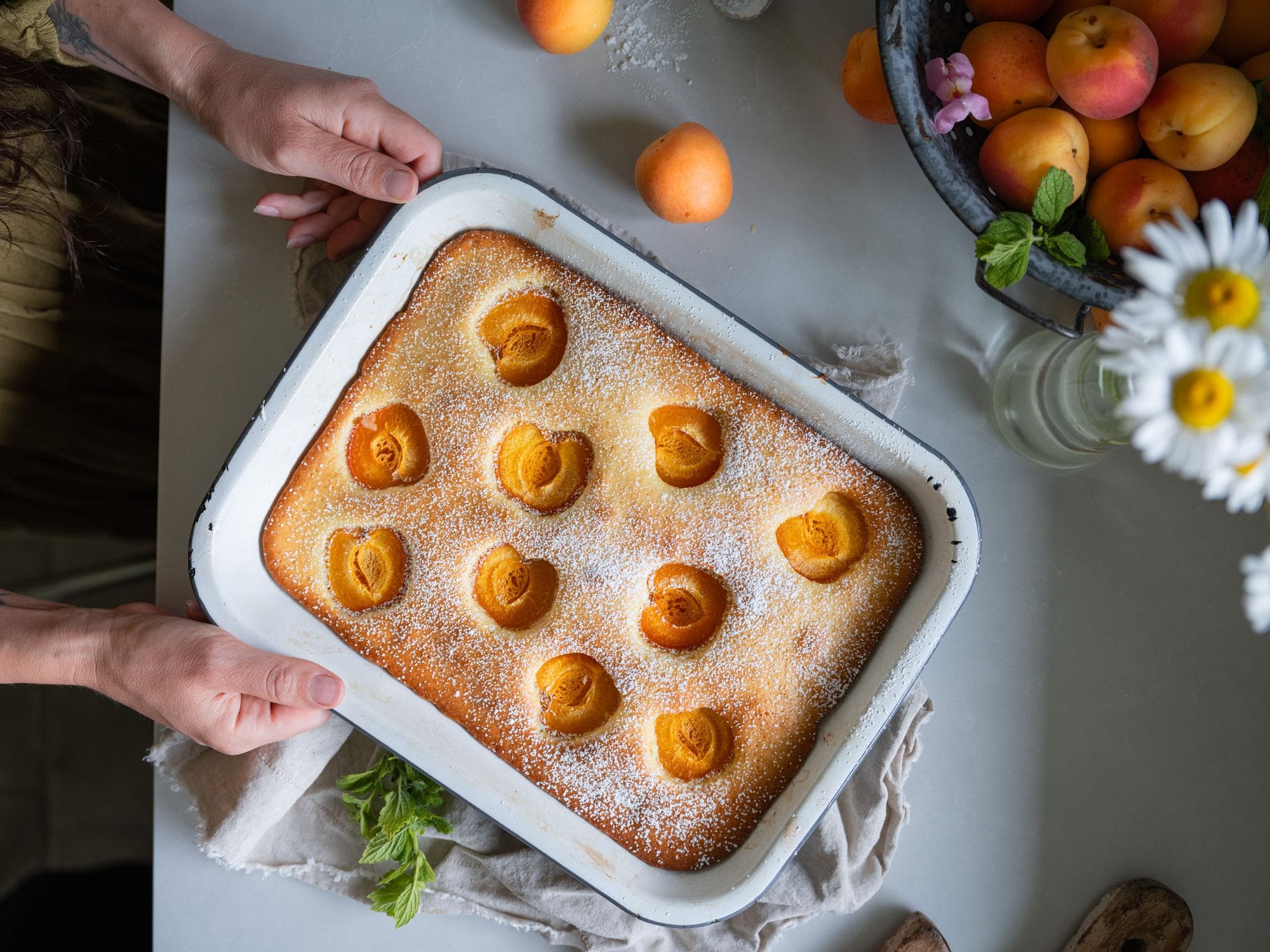 homemade apricot cake decorated with fresh apricots and daisies being held by two hands