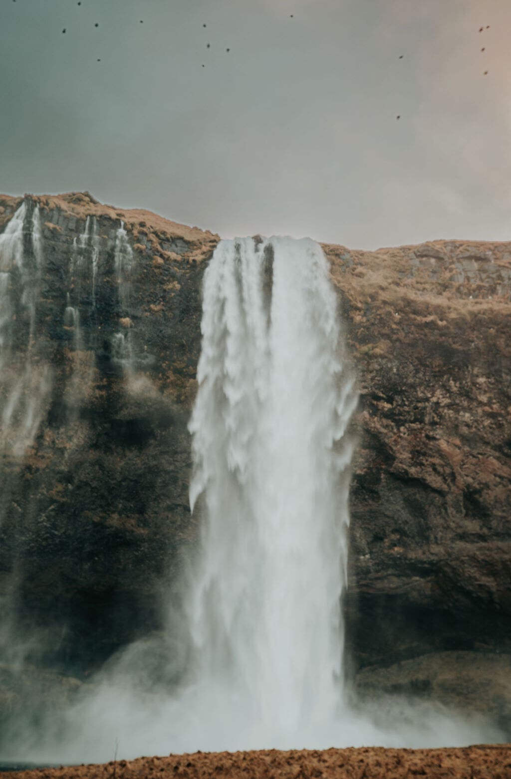 icelandic waterfall with birds flying overhead at sunrise